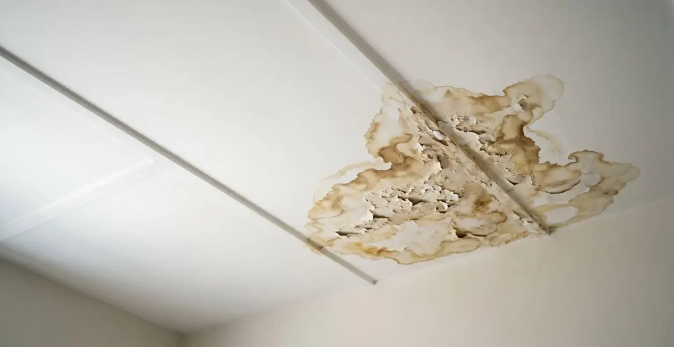 Traces d'infiltration d'eau au plafond révélant un vice caché de toiture dans une maison